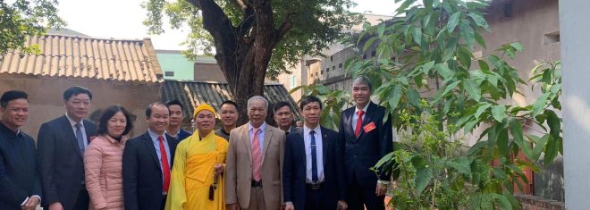 Bắc Giang: Cây Thị chùa Hướng được công nhận là Cây cổ thụ có giá trị Di sản văn hoá